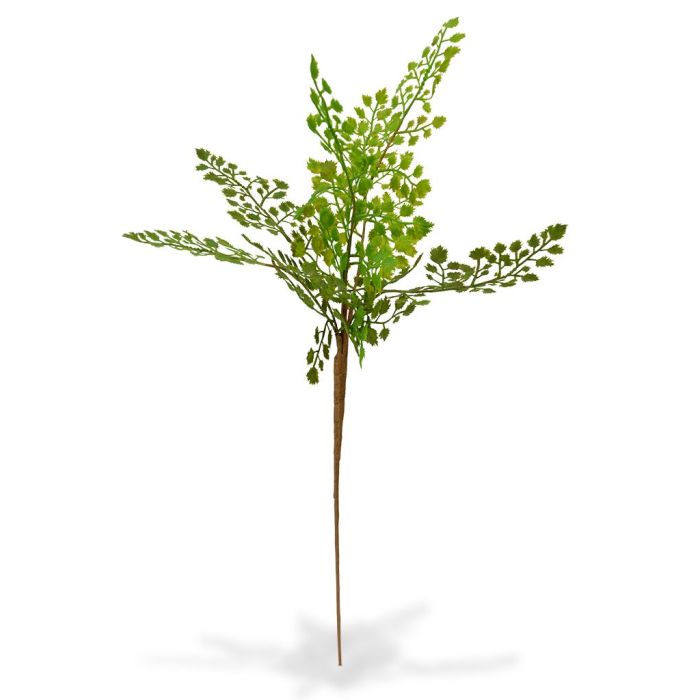 Kunstbloem Adiantumtak (50 cm)
