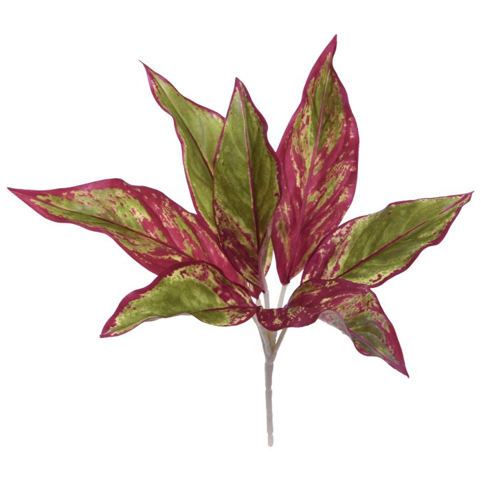 Umelá rastlina Aglaonema (35 cm)