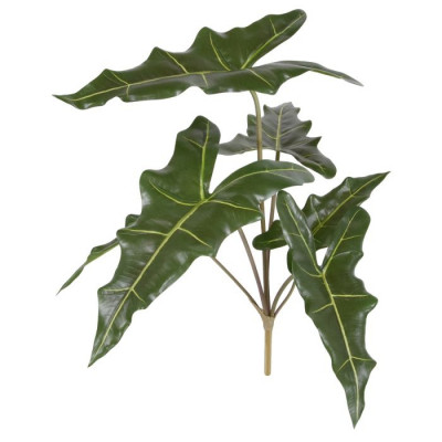 Alocasia buket (60 cm)