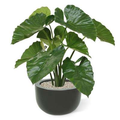 Keinotekoinen Alocasia Calidora -kimppu 70cm palonsuoja-aine