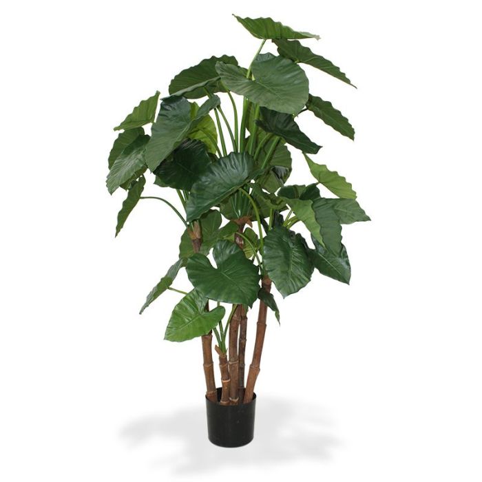 Albero artificiale Alocasia Calidora (165 cm)
