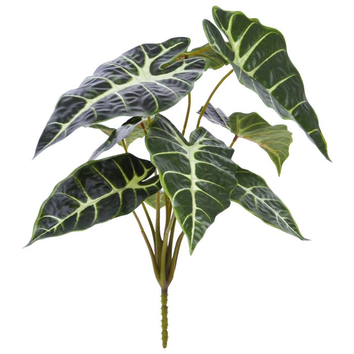 Kunstplant Alocasia (40 cm)