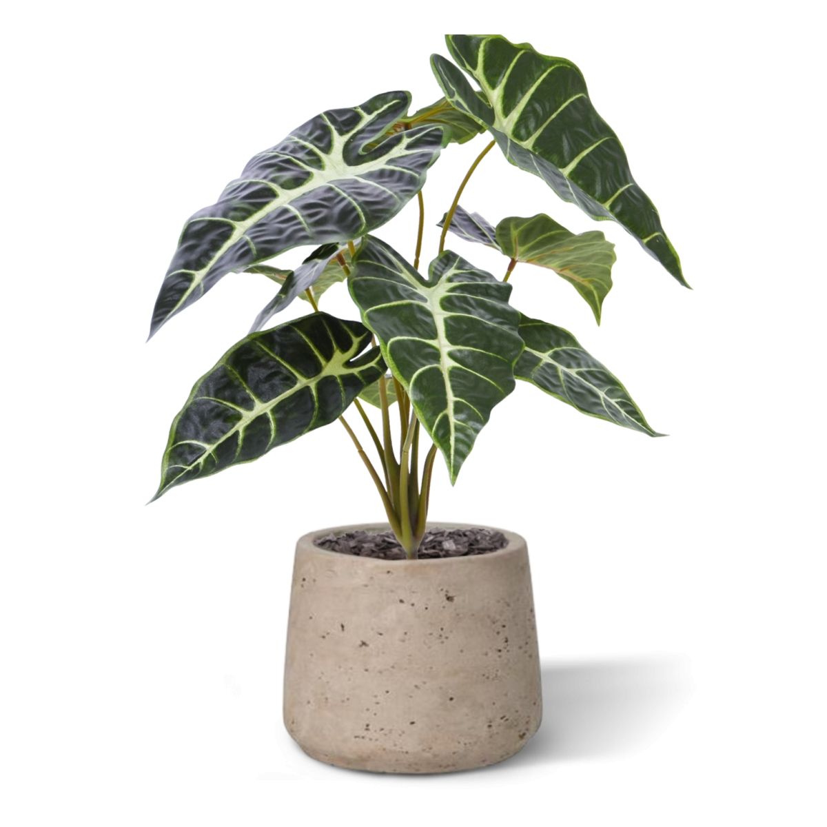Kunstplant Alocasia (40 cm)