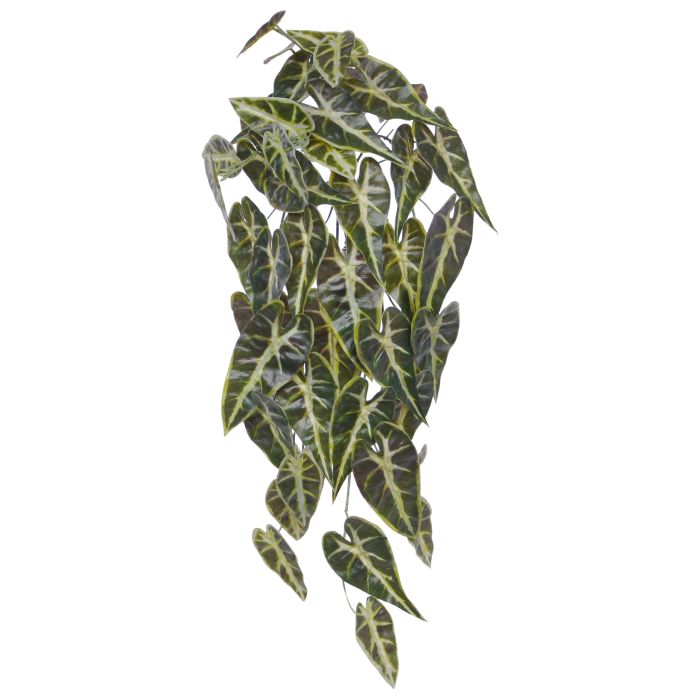 Kunstplant Alocasia (60 cm)