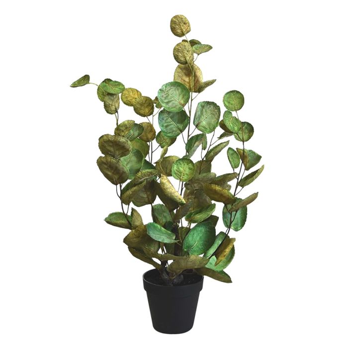 Planta artificial Aralia Polyscias (60 cm)
