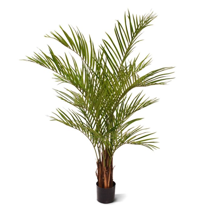 Umjetno stablo Areca palma (150 cm)