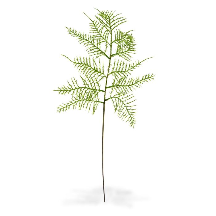 Kunstpflanze Spargelzweig (55 cm)