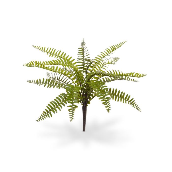 Pianta artificiale Mazzo di felce Asplenium (35 cm)