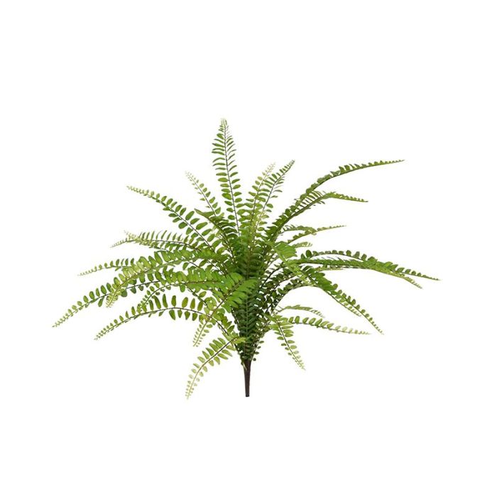 Kunstplant Asplenium Varenboeket (45 cm)