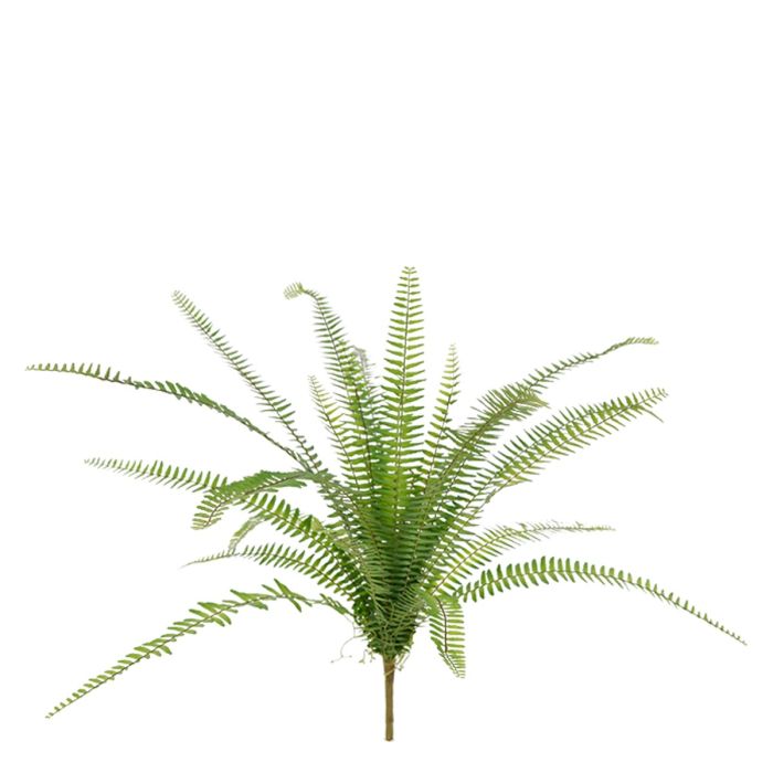 Pianta artificiale Mazzo di felce Asplenium (75 cm)