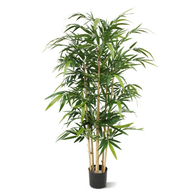 Bambukas 150 cm