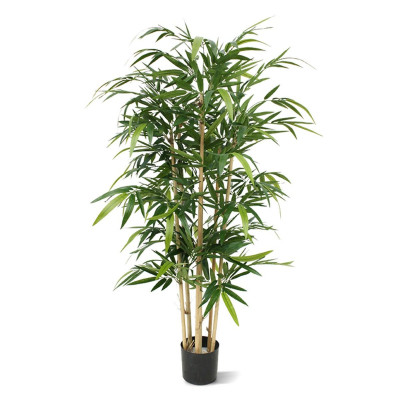 Bambu (150 cm)