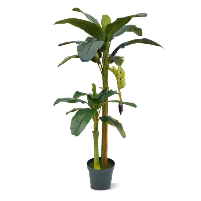 Kunstbaum Bananenpalme (180 cm)