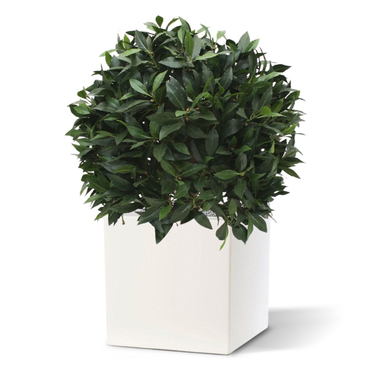 Artificial Bay Laurel ball (60 cm)