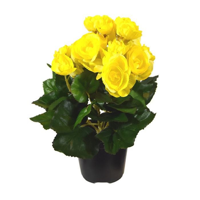 Fiore artificiale Pianta di begonia (20 cm)