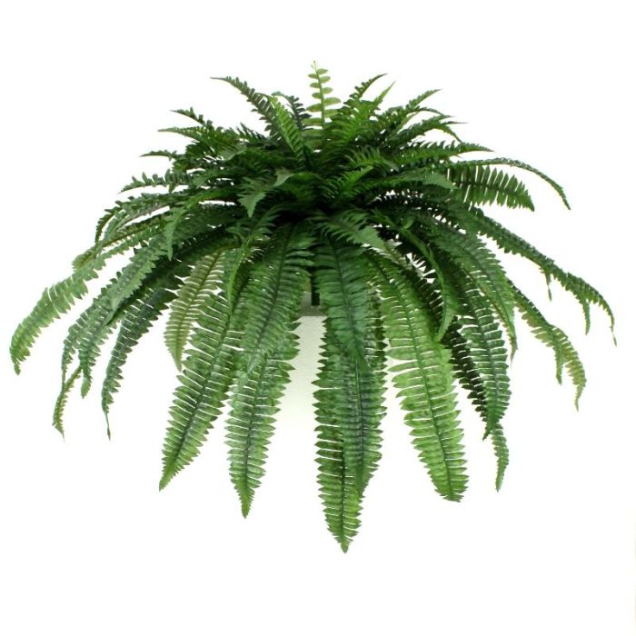 Umetna rastlina Boston Fern bouquet Giant