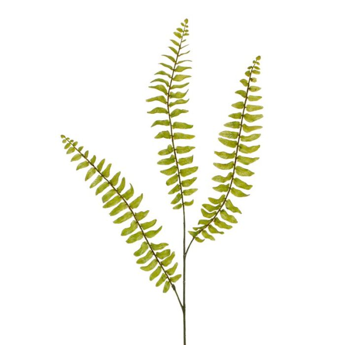 Pianta artificiale Ramo di felce di Boston (85 cm)