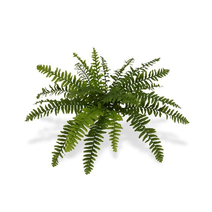 Umetna rastlina Bostonska praprot (50 cm)