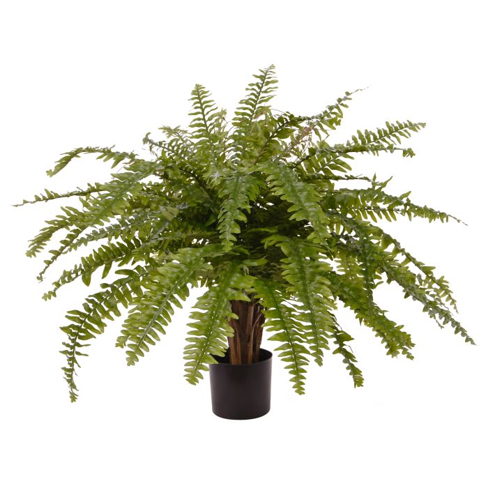 Τεχνητό Φτέρη Βοστώνης (70 εκ.)