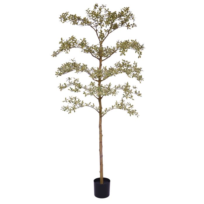 Kunstboom Bucida Buceras (210 cm)