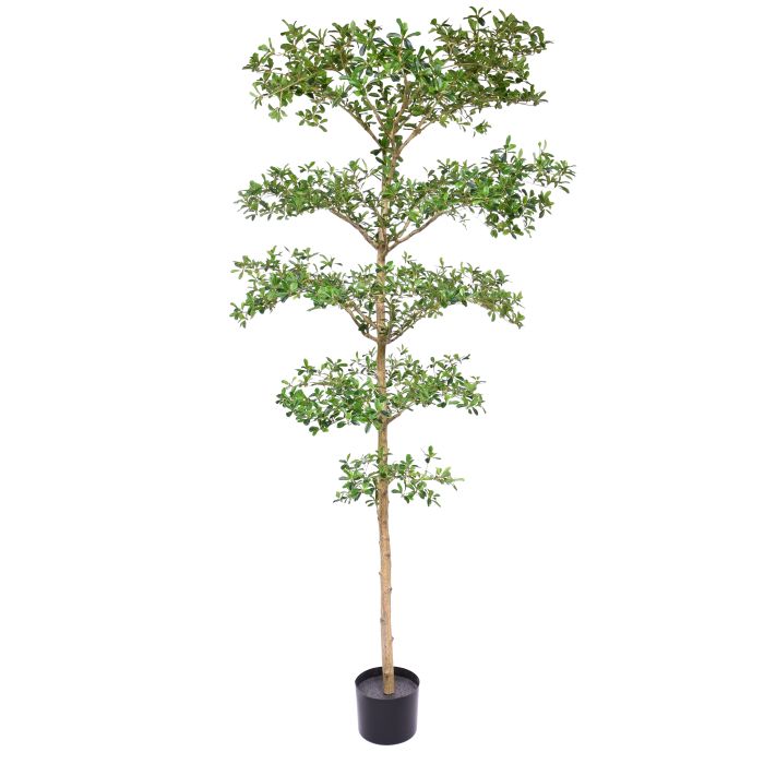 Kunstboom Bucida Buceras (240cm)