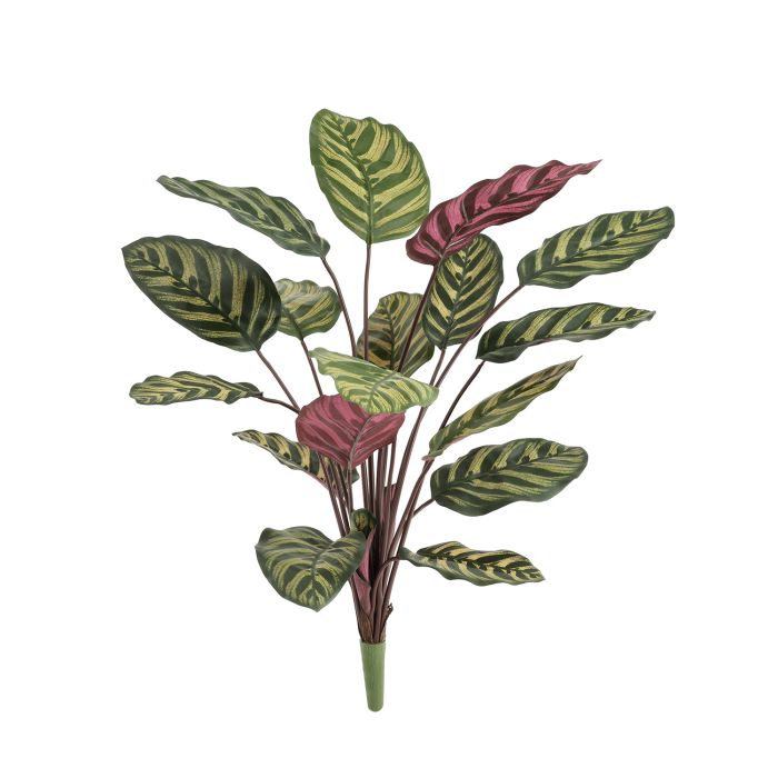 Umelá rastlina Calathea (60 cm)