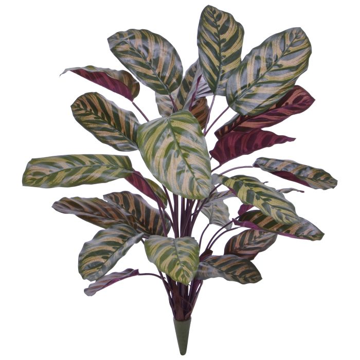 Umelá rastlina Calathea (75 cm)