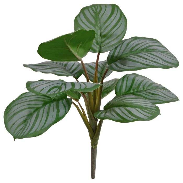 Umelá rastlina Kytica Calathea Orbifolia (30 cm)