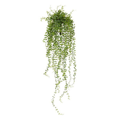 Planta rasteira Callisia artificial 70 cm UV