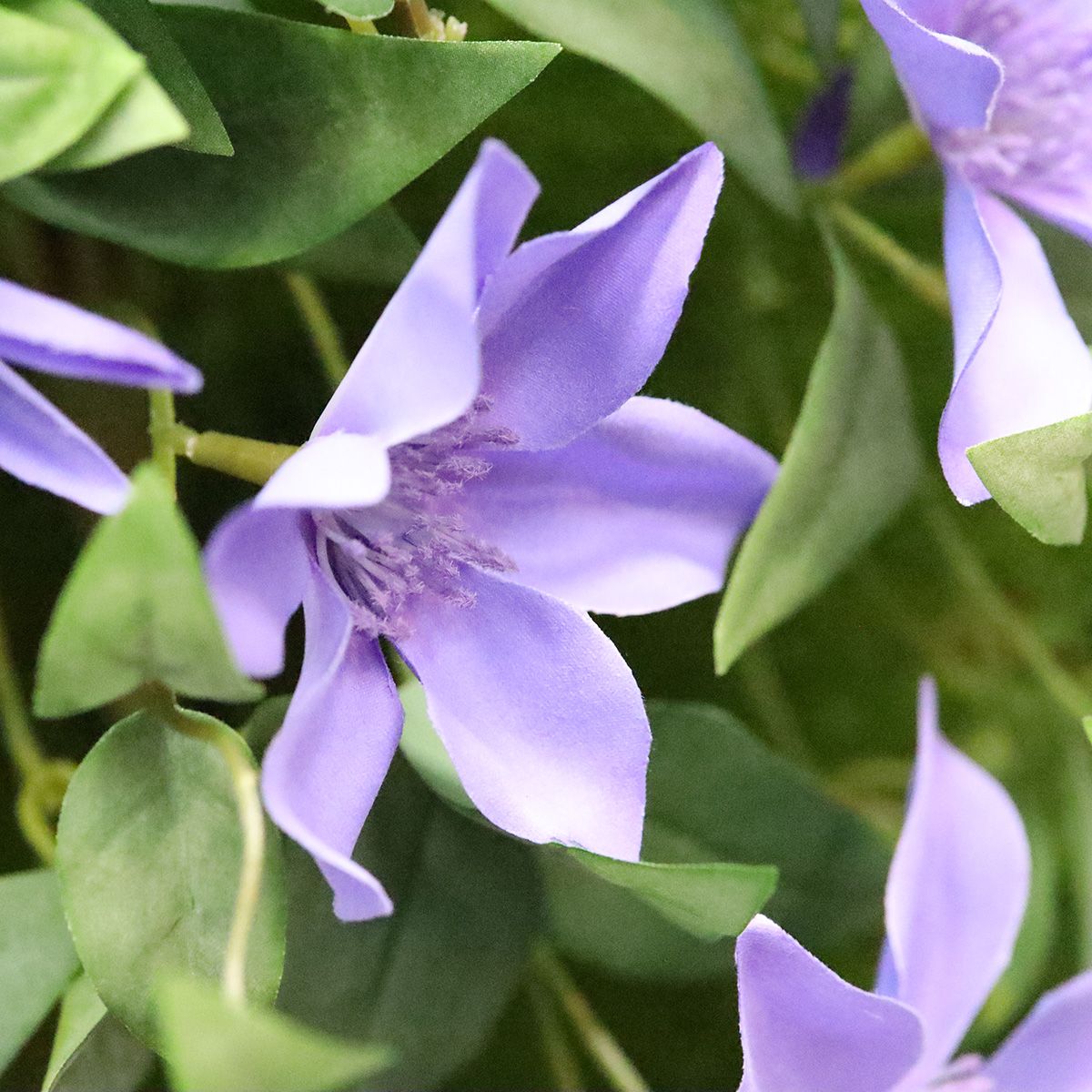 Kunstlill Elulõng (65 cm)