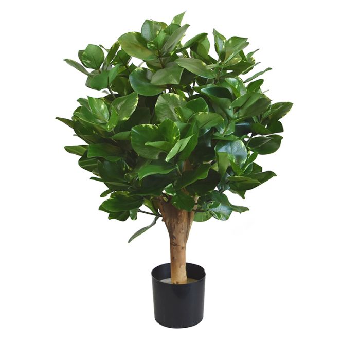 Planta artificial Clusia (55 cm)