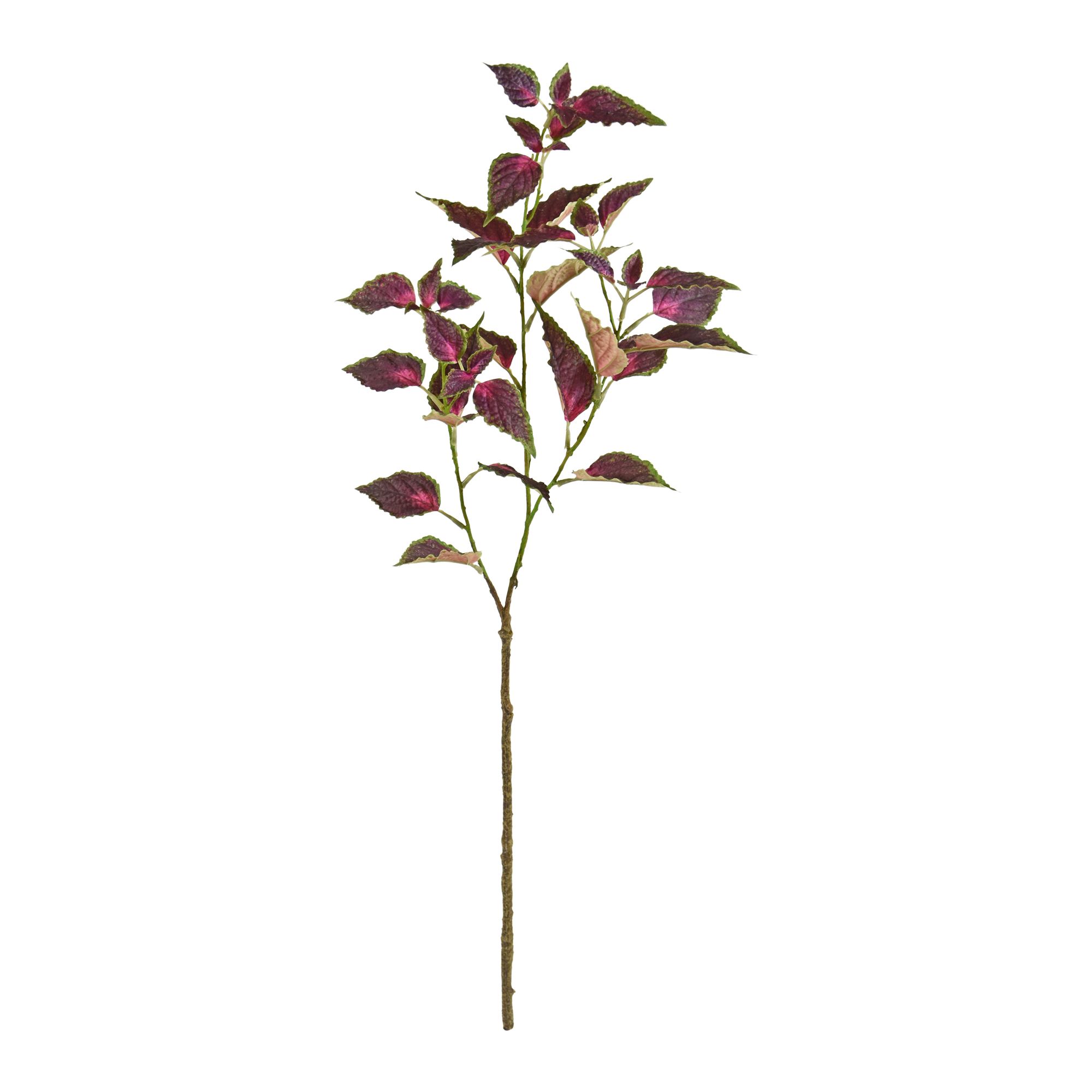 Kunstpflanze Coleus (80 cm)