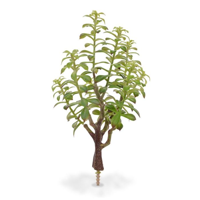 Umetna rastlina Šopek bonsaj Crassula (40 cm)