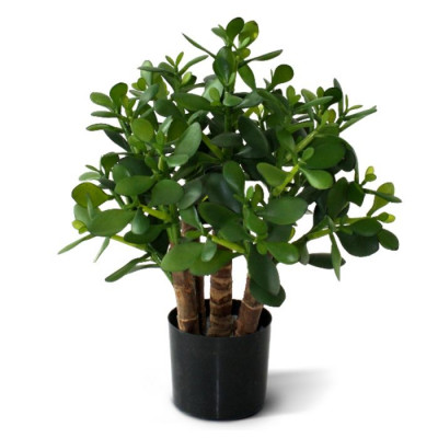 Planta suculenta Crassula artificial 40 cm