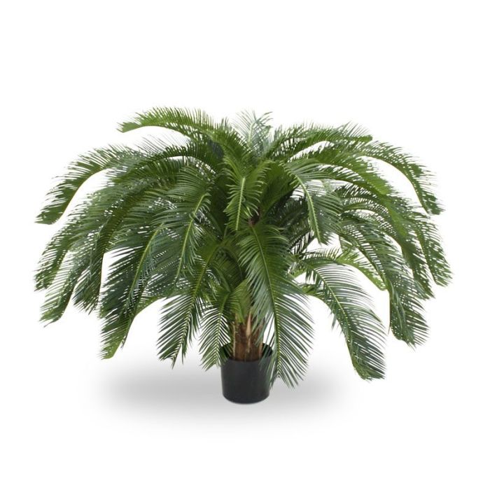 Umetna rastlina Cycas Palm (125 cm)