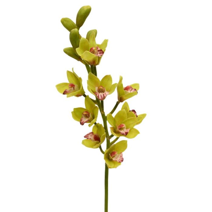Fleur artificielle Cymbidium (70 cm)