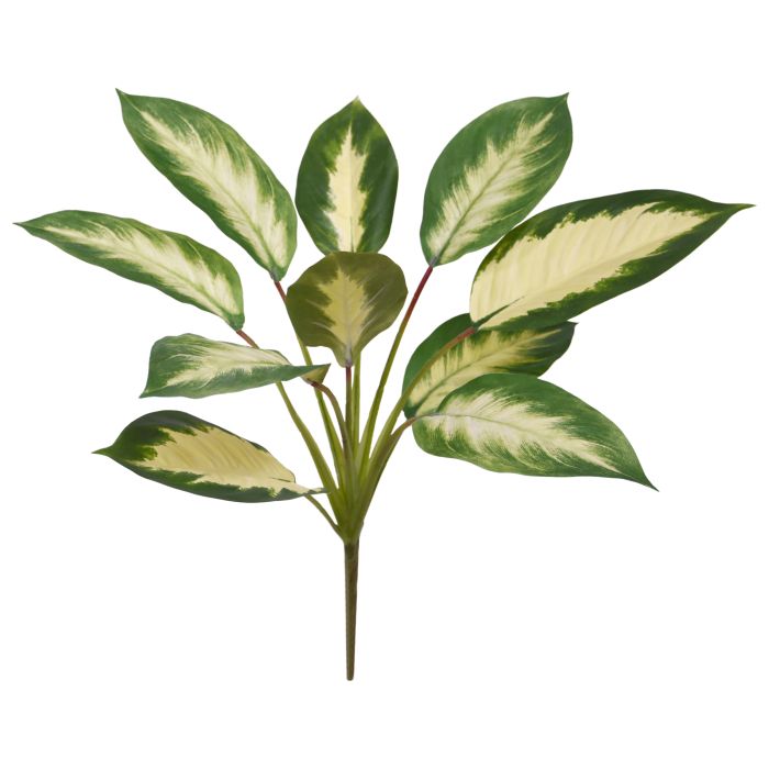 Kunsttaim Diifenbahhia (50 cm)