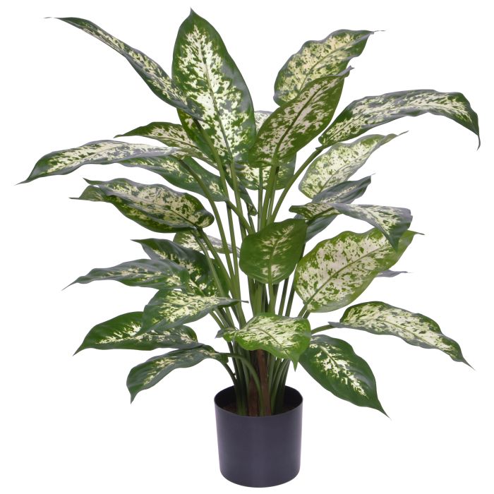 Umelá rastlina Dieffenbachia (60 cm)
