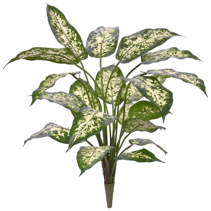 Umelá rastlina Dieffenbachia (60 cm)