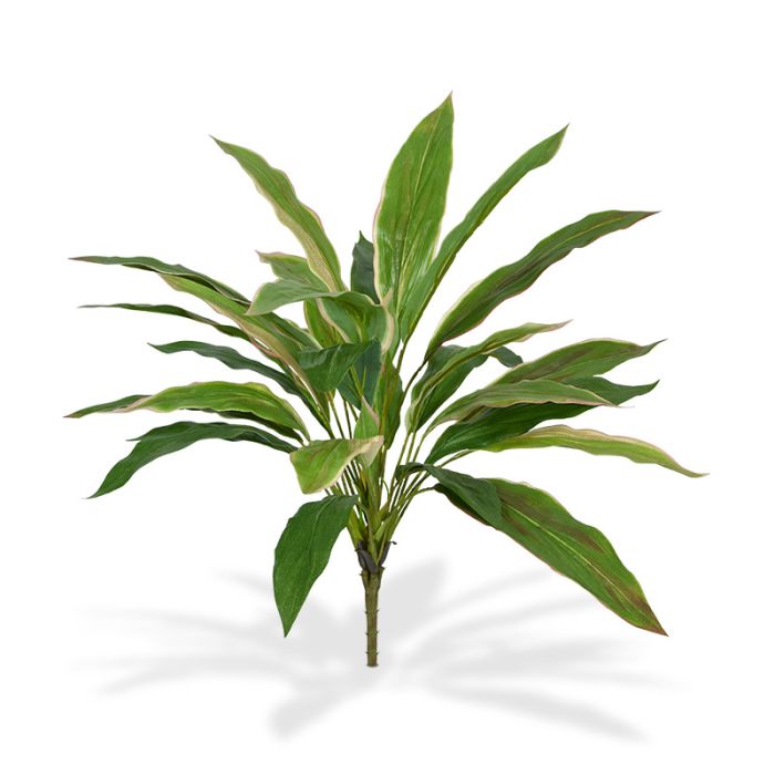 Planta artificial Draceana (40 cm) NT