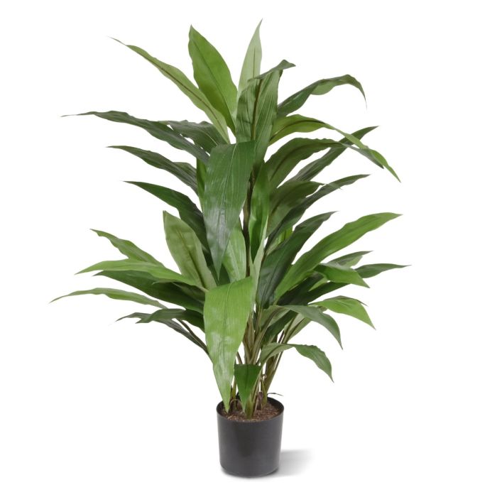 Yapay Dracena (80 cm)