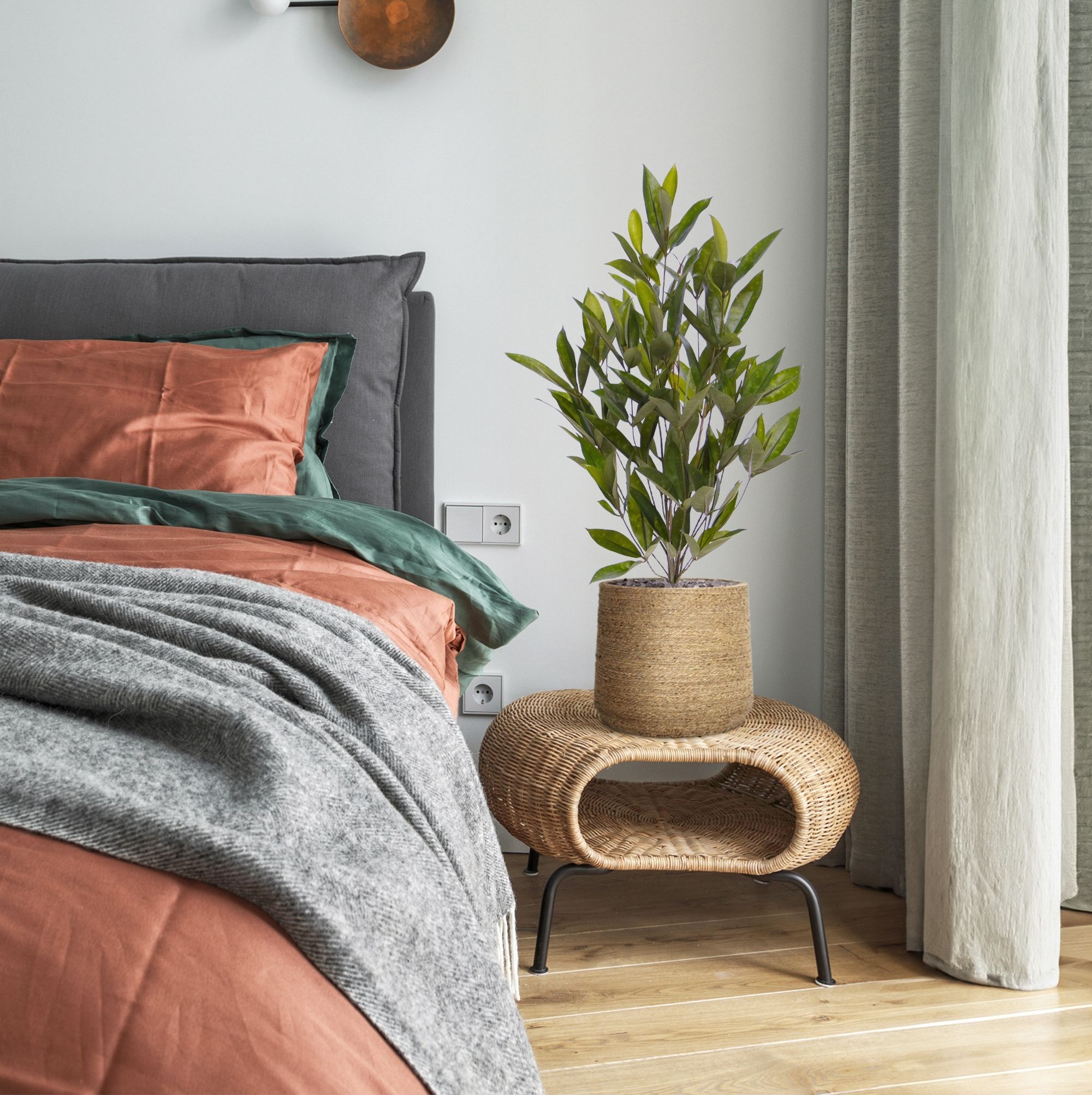 Kunstplant Draceana (70 cm)