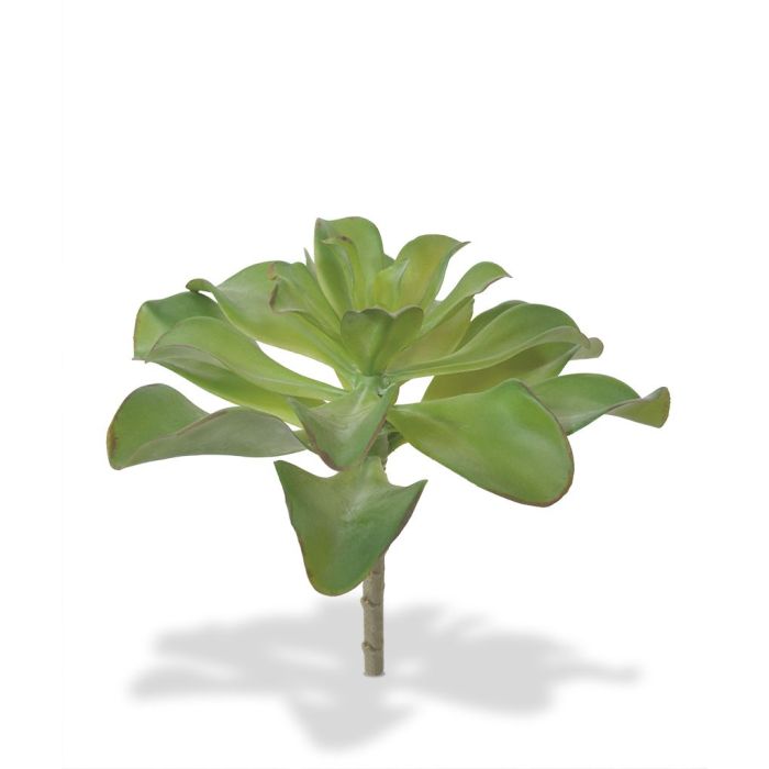 Umetna rastlina Šopek Echeveria (20 cm)