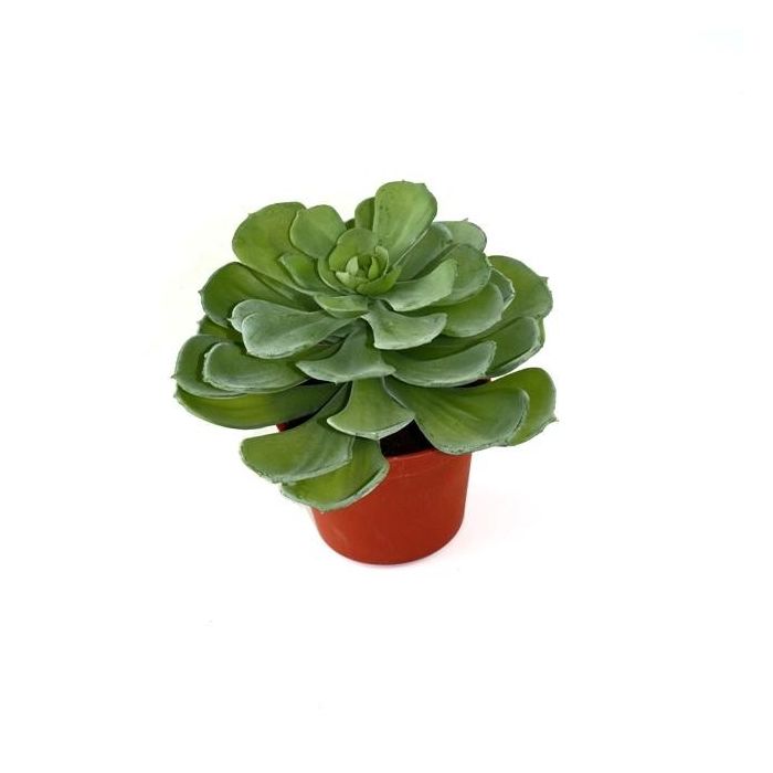 Planta artificial Echeveria suculenta (16 cm)