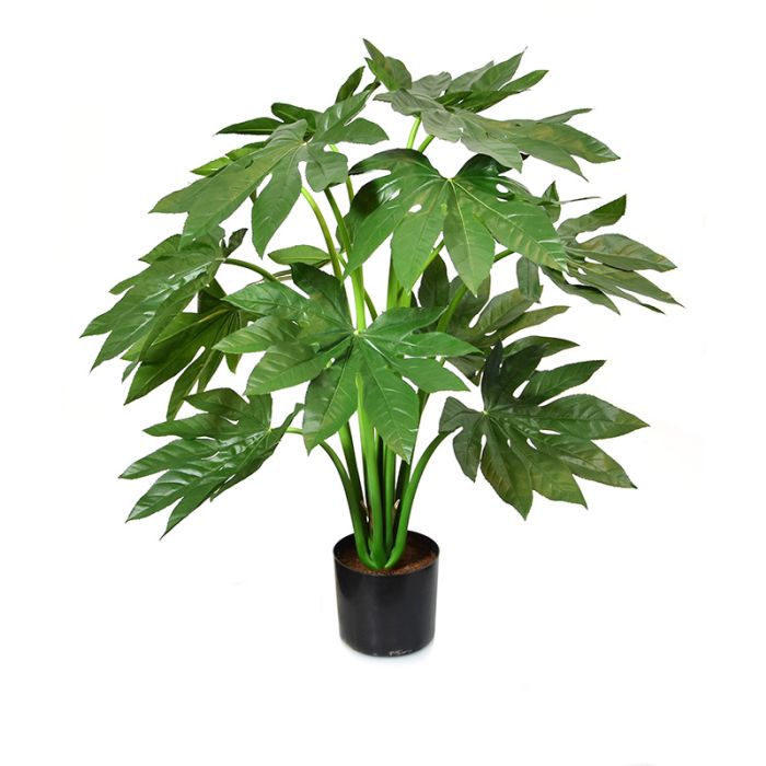 Planta artificial Fatsia Japonica (80 cm)