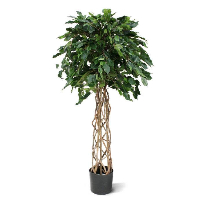 Kunstboom Ficus Exotica (150 cm)