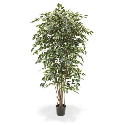 Ficus Exotica artificial Deluxe 210 cm variegado