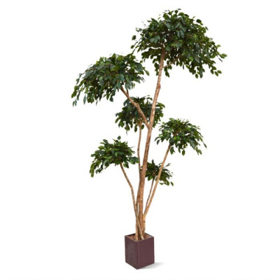 Planta Camada Ficus Exotica artificial x6 300 cm 