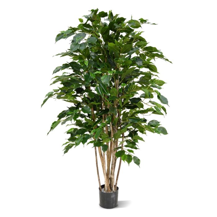 Umjetno stablo Ficus Exotica (125 cm)