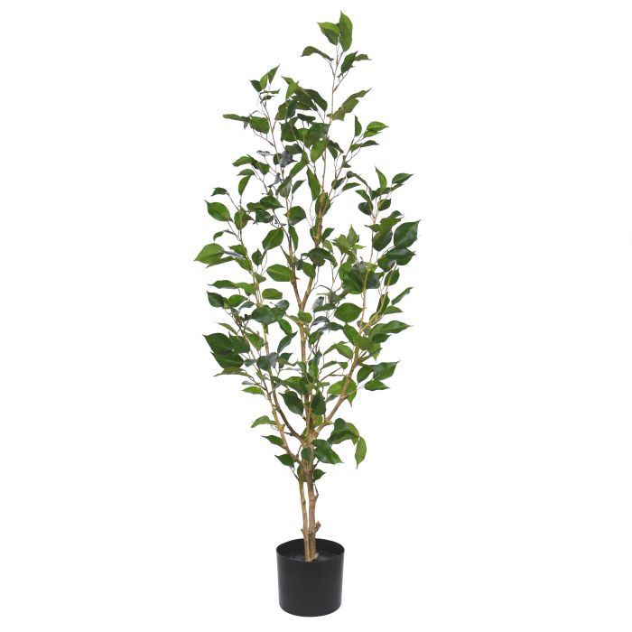Kunstplant Ficus Exotica (120 cm)